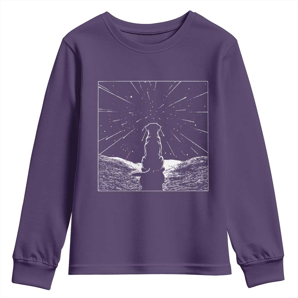 Meteor Shower Science Gift Youth Sweatshirt Dog Watching Stars