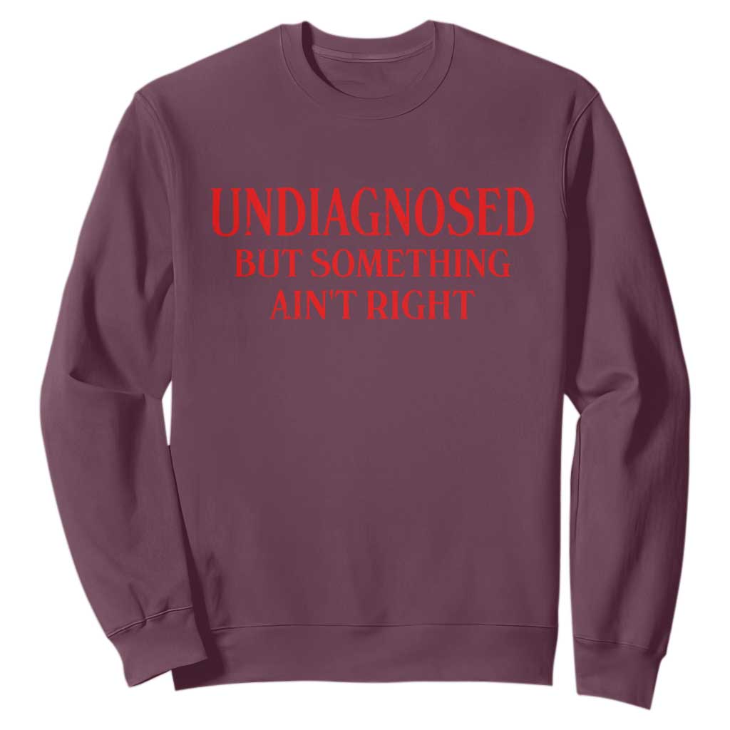 Funny Sarcastic Sweatshirt Undiagnosed But Something Aint Right