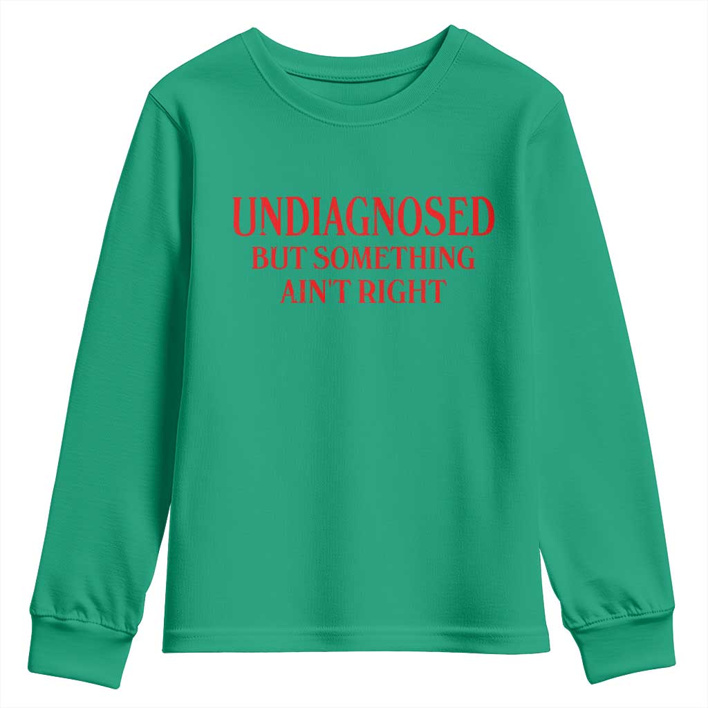 Funny Sarcastic Youth Sweatshirt Undiagnosed But Something Aint Right