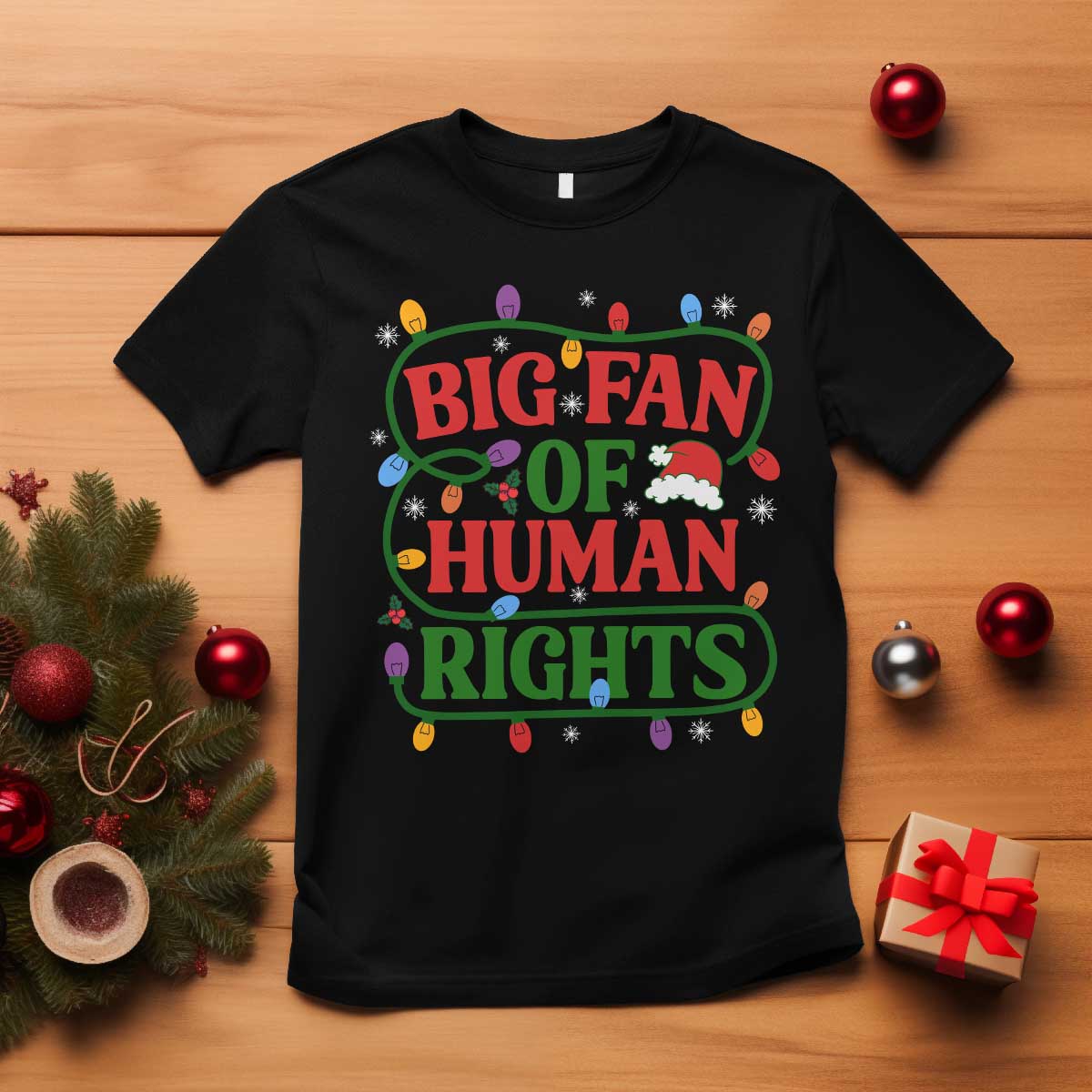 Big Fan Of Human Rights T Shirt Equality Activists Christmas Gift TS12 Black Print Your Wear