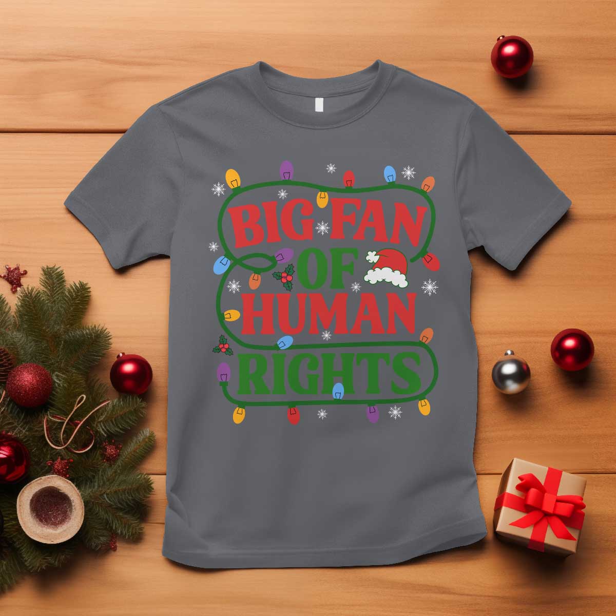 Big Fan Of Human Rights T Shirt Equality Activists Christmas Gift TS12 Charcoal Print Your Wear