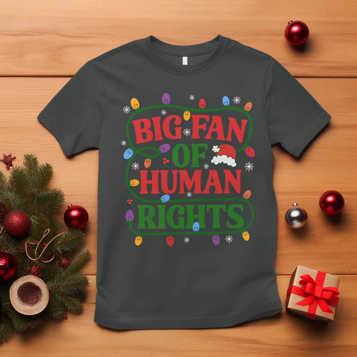 Big Fan Of Human Rights T Shirt Equality Activists Christmas Gift TS12 Dark Heather Print Your Wear