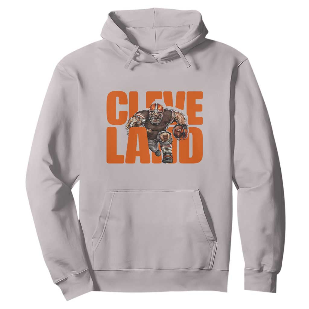 CFBB Midwest Football Player Gift Hoodie TS12 Ice Gray Print Your Wear