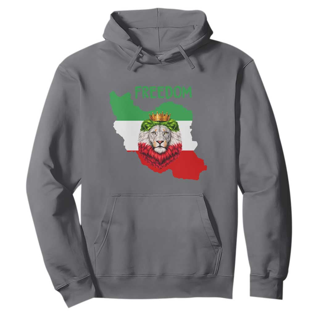 Freedom Iran Hoodie Patriotic Persian Lion Resistance Movement Gift TS12 Charcoal Print Your Wear