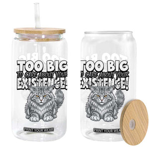 Funny Maine Coon Cat Glass Can Too Big To Care About Your Existence TS12 Print Your Wear