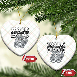 Funny Maine Coon Cat Ceramic Ornament Too Big To Care About Your Existence TS12 Print Your Wear
