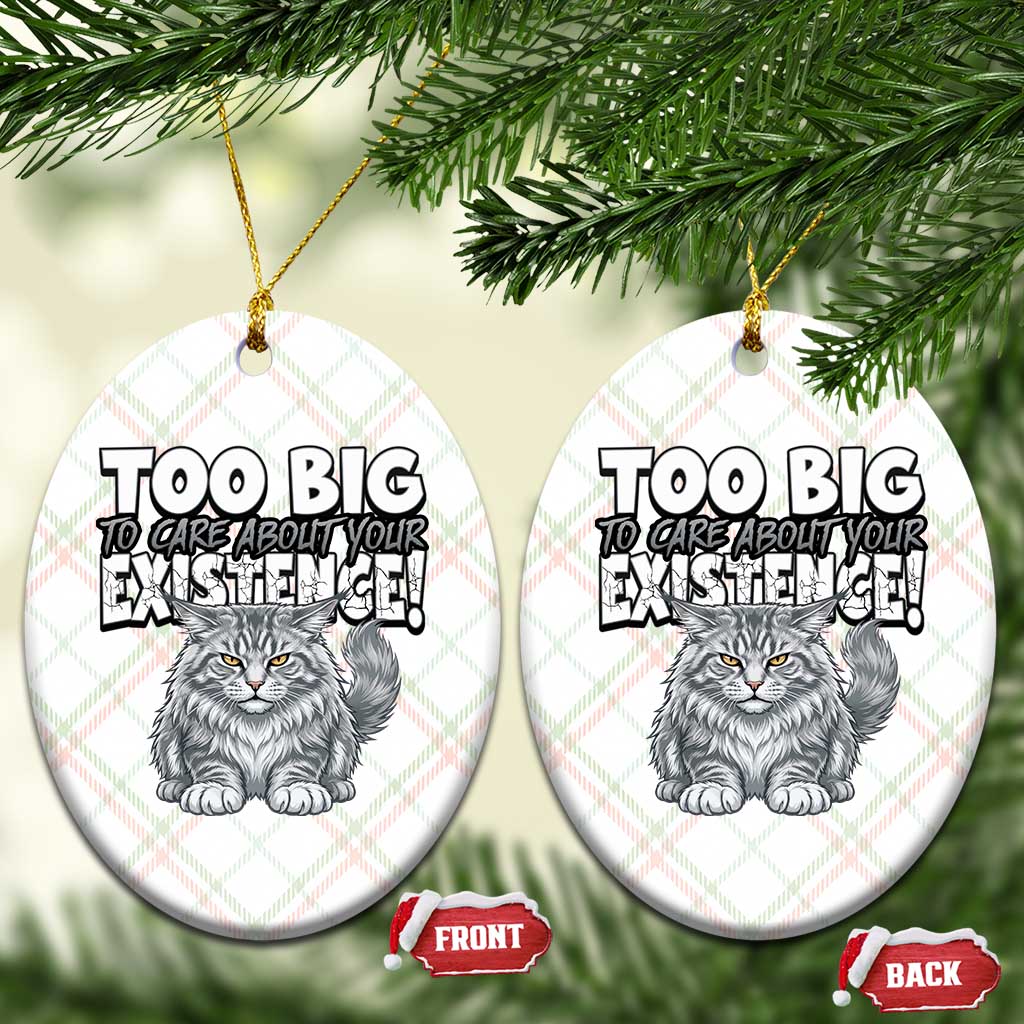 Funny Maine Coon Cat Ceramic Ornament Too Big To Care About Your Existence TS12 Print Your Wear