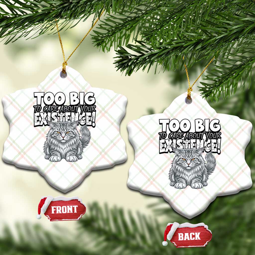 Funny Maine Coon Cat Ceramic Ornament Too Big To Care About Your Existence TS12 Print Your Wear