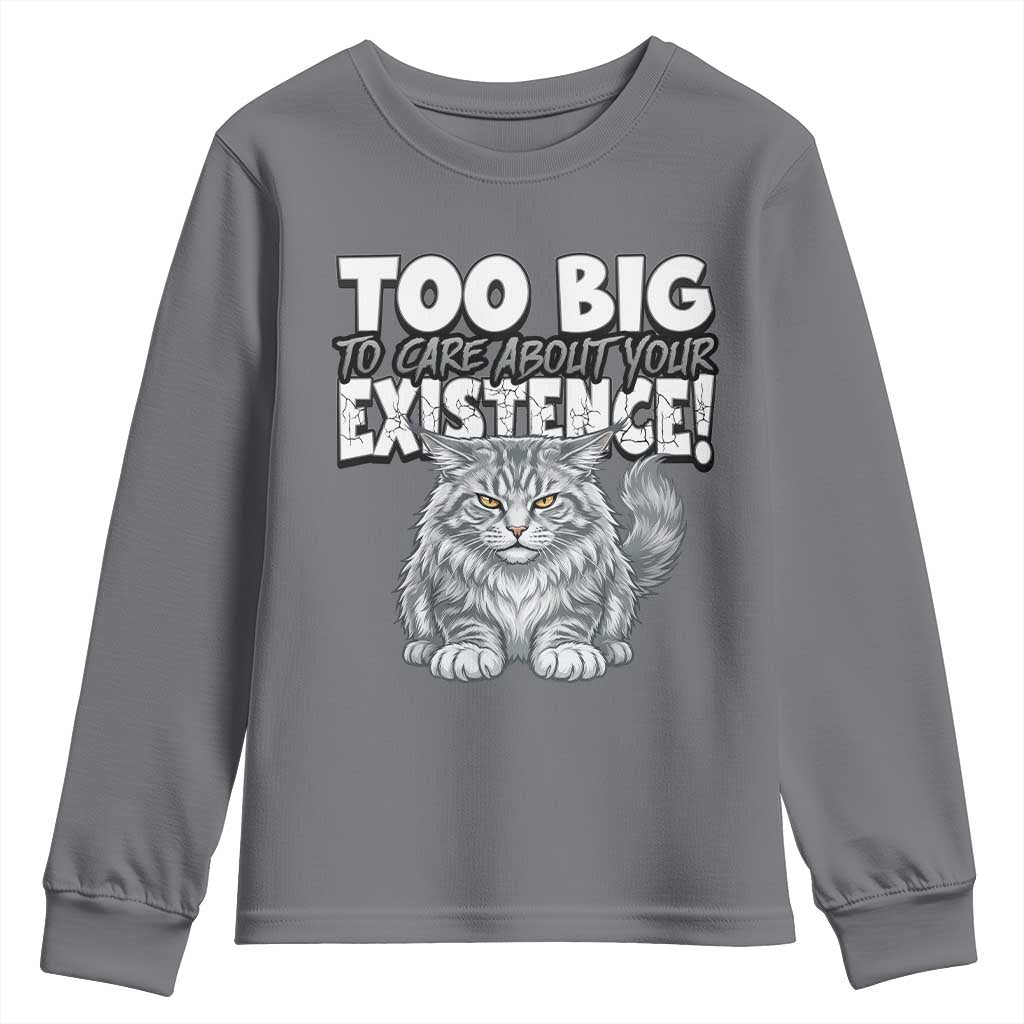 Funny Maine Coon Cat Youth Sweatshirt Too Big To Care About Your Existence TS12 Charcoal Print Your Wear