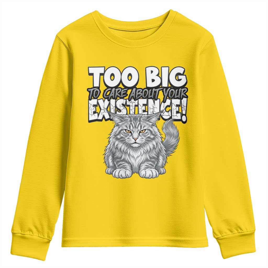 Funny Maine Coon Cat Youth Sweatshirt Too Big To Care About Your Existence TS12 Daisy Print Your Wear