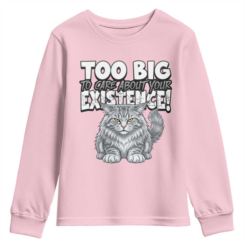 Funny Maine Coon Cat Youth Sweatshirt Too Big To Care About Your Existence TS12 Light Pink Print Your Wear
