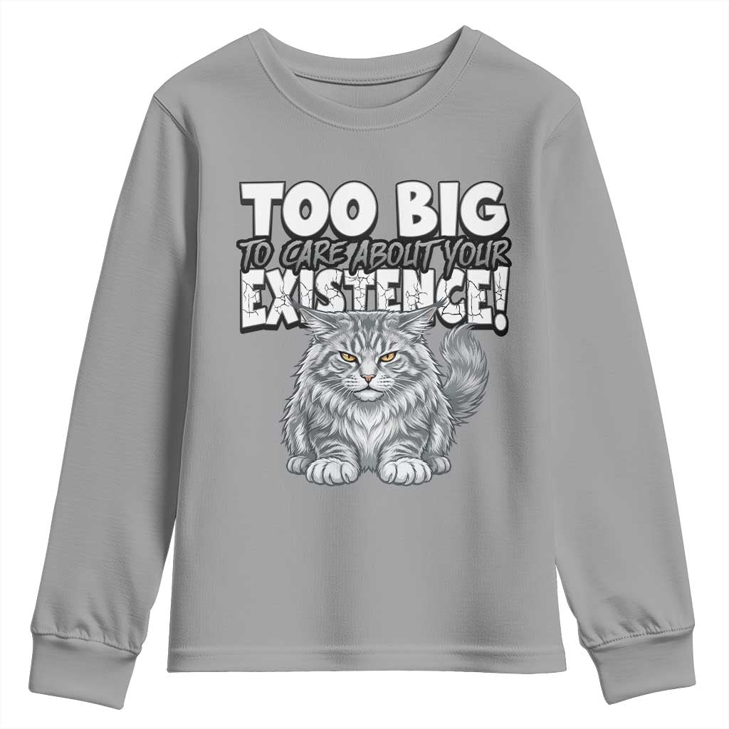 Funny Maine Coon Cat Youth Sweatshirt Too Big To Care About Your Existence TS12 Sport Gray Print Your Wear