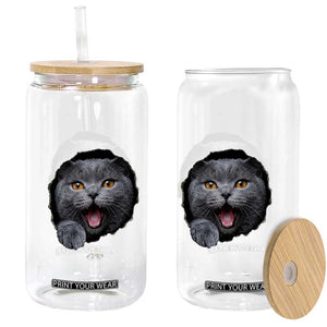 Cute British Shorthair Cat Peeking Through Cracked Wall Glass Can TS12 Print Your Wear
