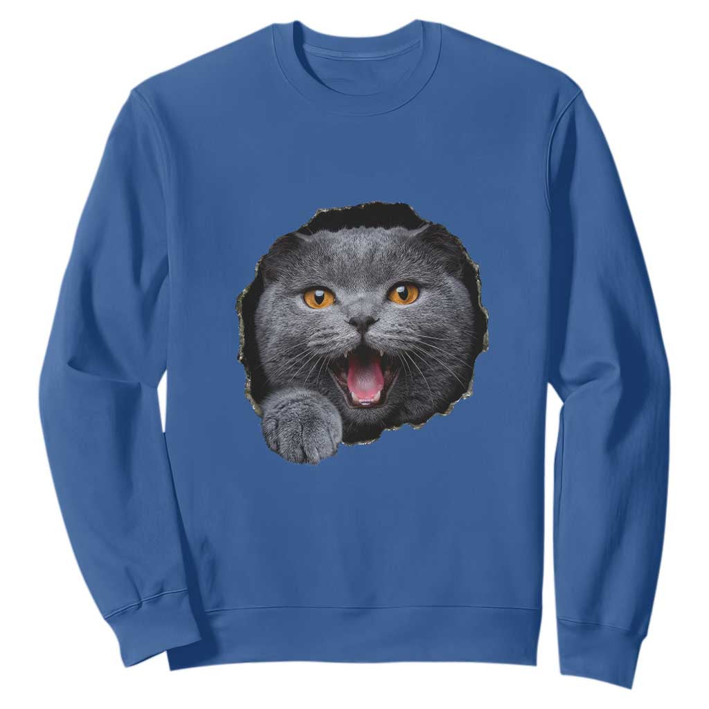 Cute British Shorthair Cat Peeking Through Cracked Wall Sweatshirt TS12 Royal Blue Print Your Wear