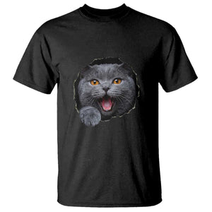 Cute British Shorthair Cat Peeking Through Cracked Wall T Shirt TS12 Black Print Your Wear