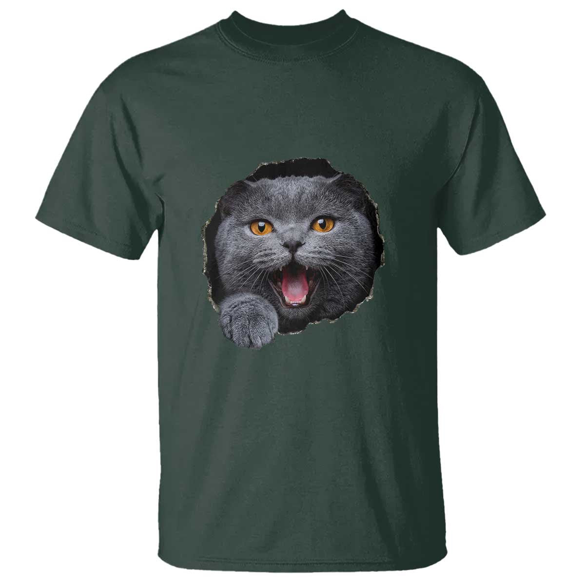 Cute British Shorthair Cat Peeking Through Cracked Wall T Shirt TS12 Dark Forest Green Print Your Wear
