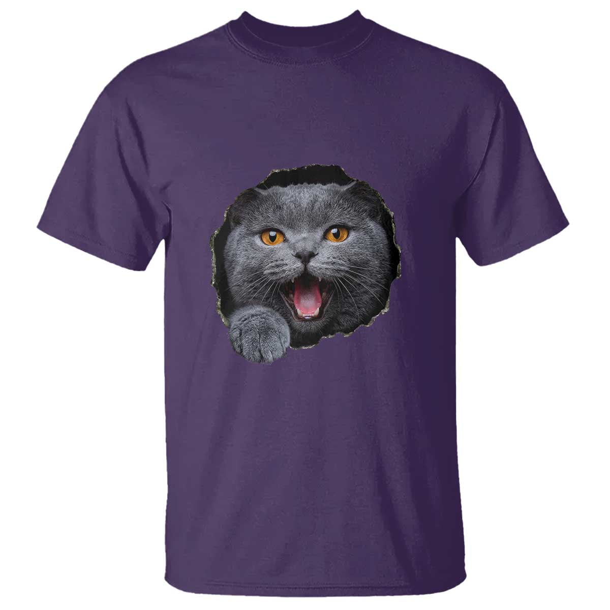 Cute British Shorthair Cat Peeking Through Cracked Wall T Shirt TS12 Purple Print Your Wear
