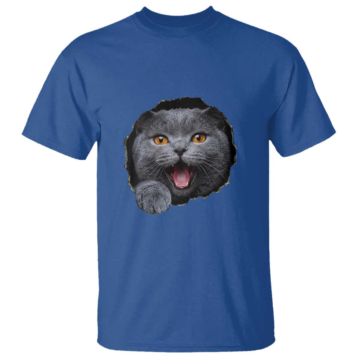 Cute British Shorthair Cat Peeking Through Cracked Wall T Shirt TS12 Royal Blue Print Your Wear