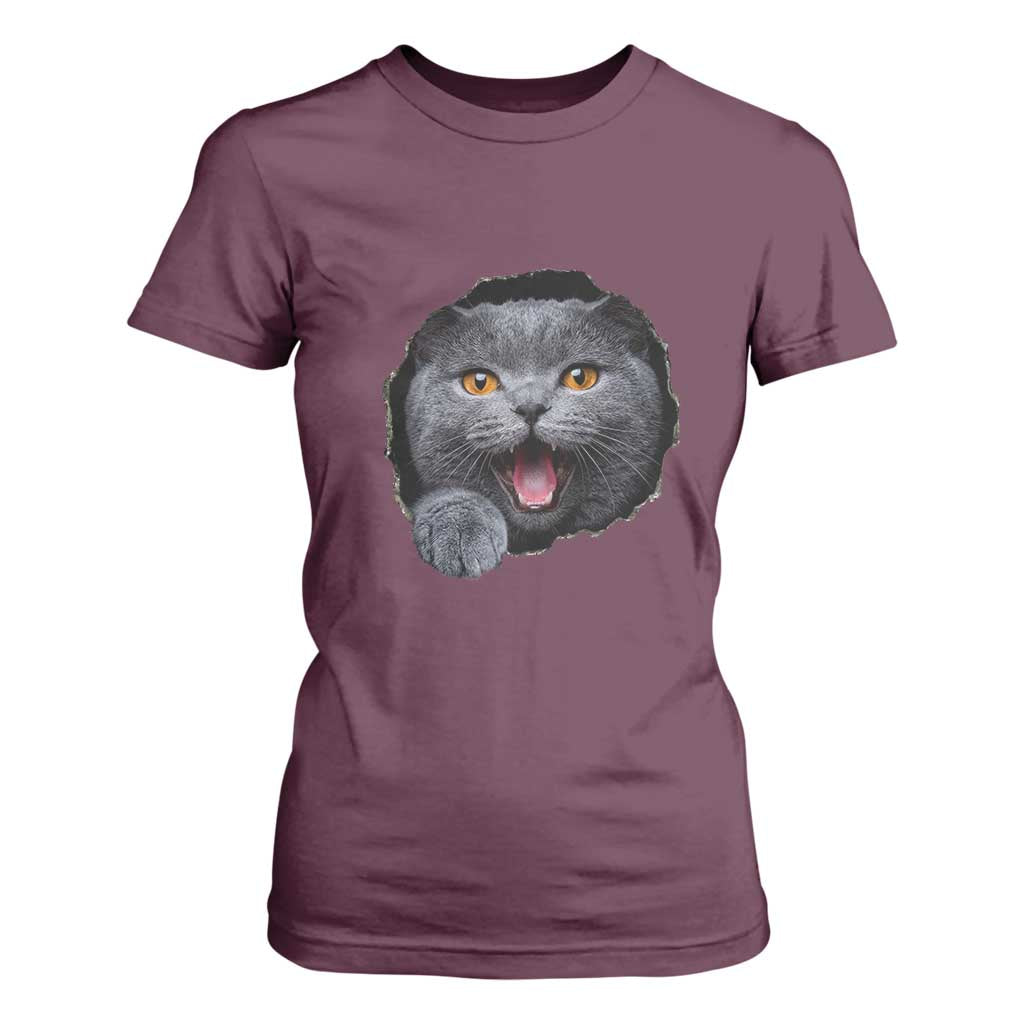 Cute British Shorthair Cat Peeking Through Cracked Wall T Shirt For Women TS12 Maroon Print Your Wear