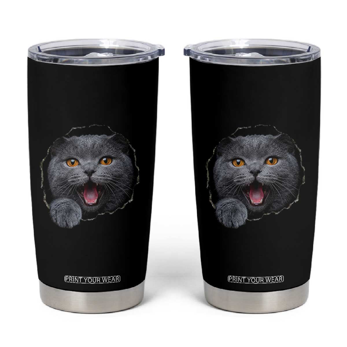 Cute British Shorthair Cat Peeking Through Cracked Wall Tumbler Cup TS12 Black Print Your Wear