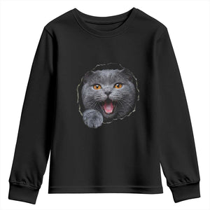 Cute British Shorthair Cat Peeking Through Cracked Wall Youth Sweatshirt TS12 Black Print Your Wear