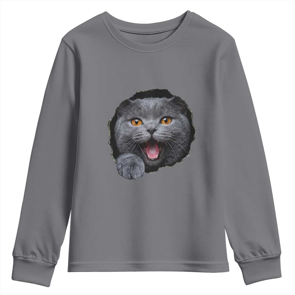 Cute British Shorthair Cat Peeking Through Cracked Wall Youth Sweatshirt TS12 Charcoal Print Your Wear