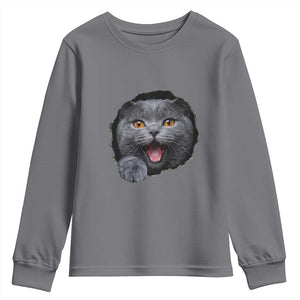 Cute British Shorthair Cat Peeking Through Cracked Wall Youth Sweatshirt TS12 Charcoal Print Your Wear