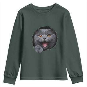 Cute British Shorthair Cat Peeking Through Cracked Wall Youth Sweatshirt TS12 Dark Forest Green Print Your Wear