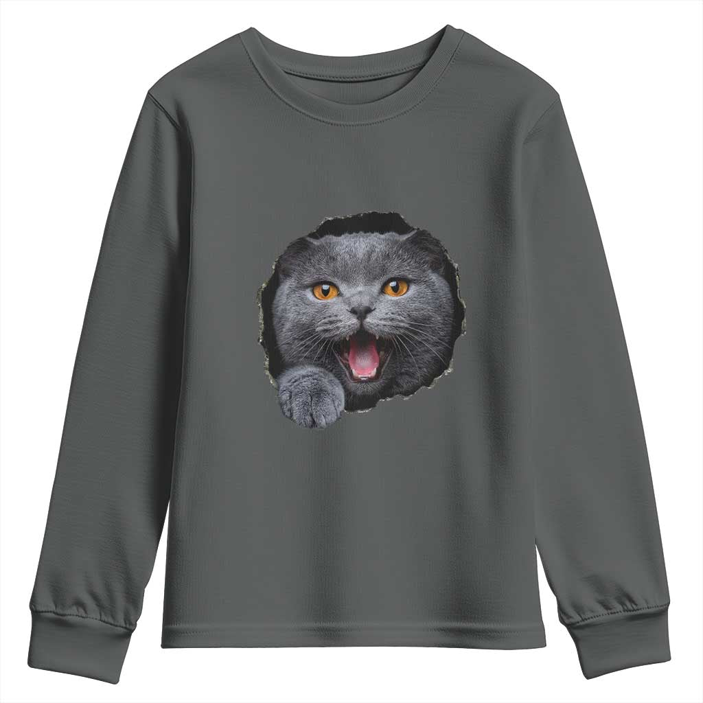 Cute British Shorthair Cat Peeking Through Cracked Wall Youth Sweatshirt TS12 Dark Heather Print Your Wear