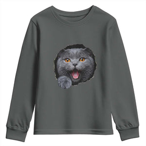 Cute British Shorthair Cat Peeking Through Cracked Wall Youth Sweatshirt TS12 Dark Heather Print Your Wear