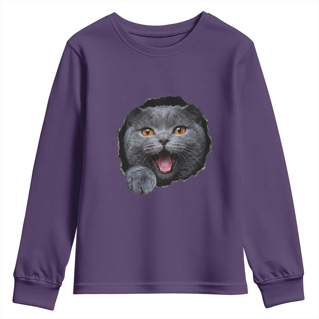 Cute British Shorthair Cat Peeking Through Cracked Wall Youth Sweatshirt TS12 Purple Print Your Wear
