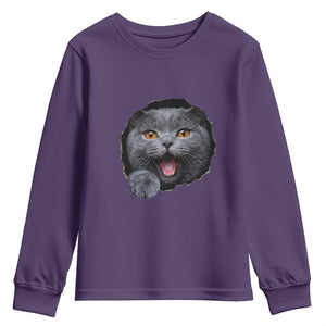 Cute British Shorthair Cat Peeking Through Cracked Wall Youth Sweatshirt TS12 Purple Print Your Wear