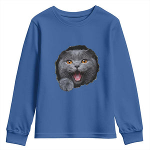 Cute British Shorthair Cat Peeking Through Cracked Wall Youth Sweatshirt TS12 Royal Blue Print Your Wear