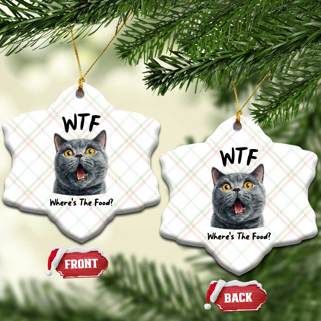 Funny Shocked British Shorthair Cat Ceramic Ornament Where Is The Food TS12 Print Your Wear