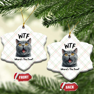 Funny Shocked British Shorthair Cat Ceramic Ornament Where Is The Food TS12 Print Your Wear