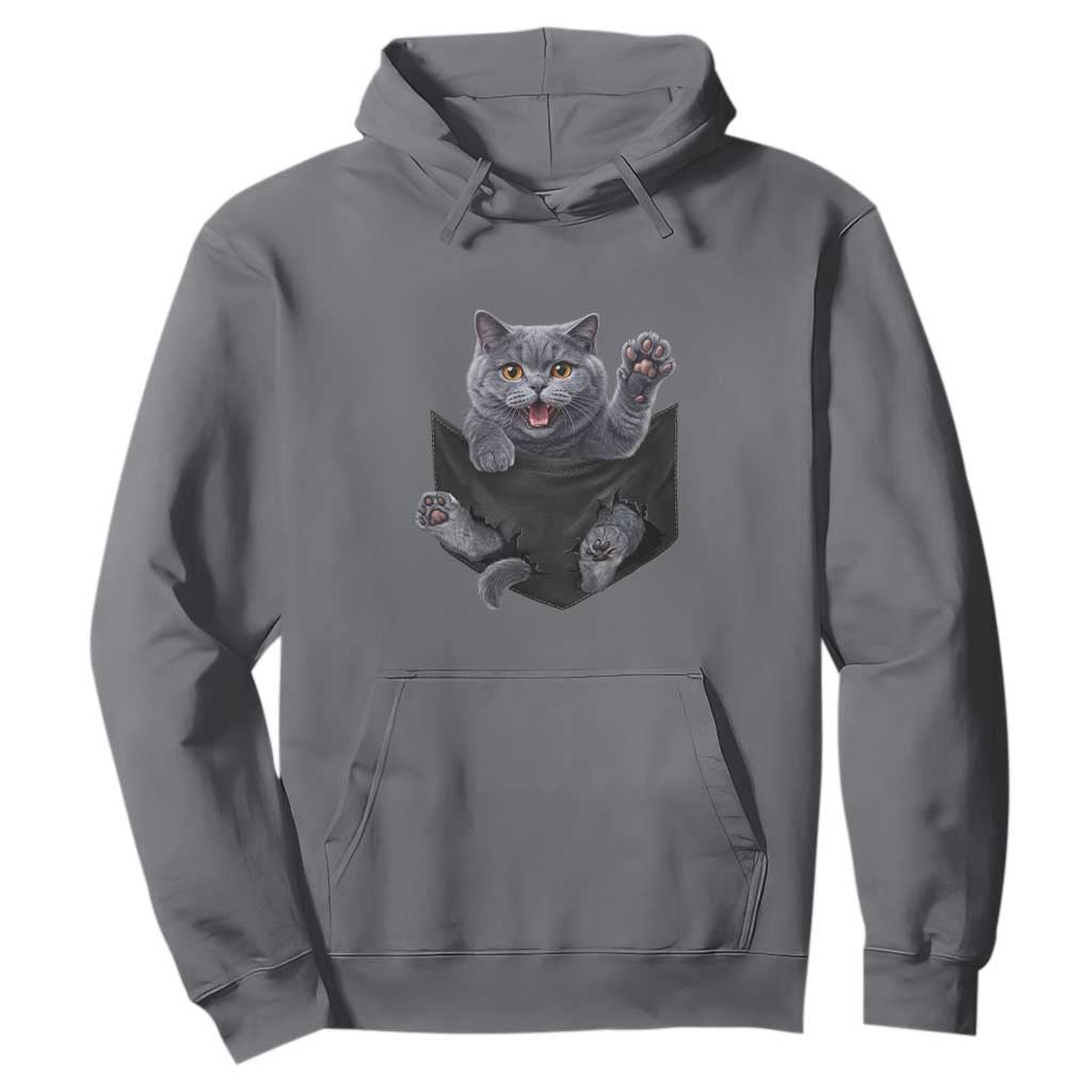 Cute British Shorthair Cat In Pocket Hoodie Cat Lover TS12 Charcoal Print Your Wear