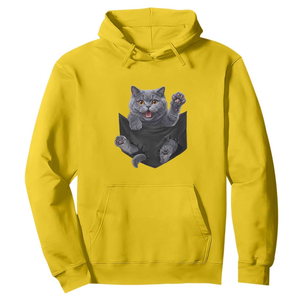 Cute British Shorthair Cat In Pocket Hoodie Cat Lover TS12 Daisy Print Your Wear
