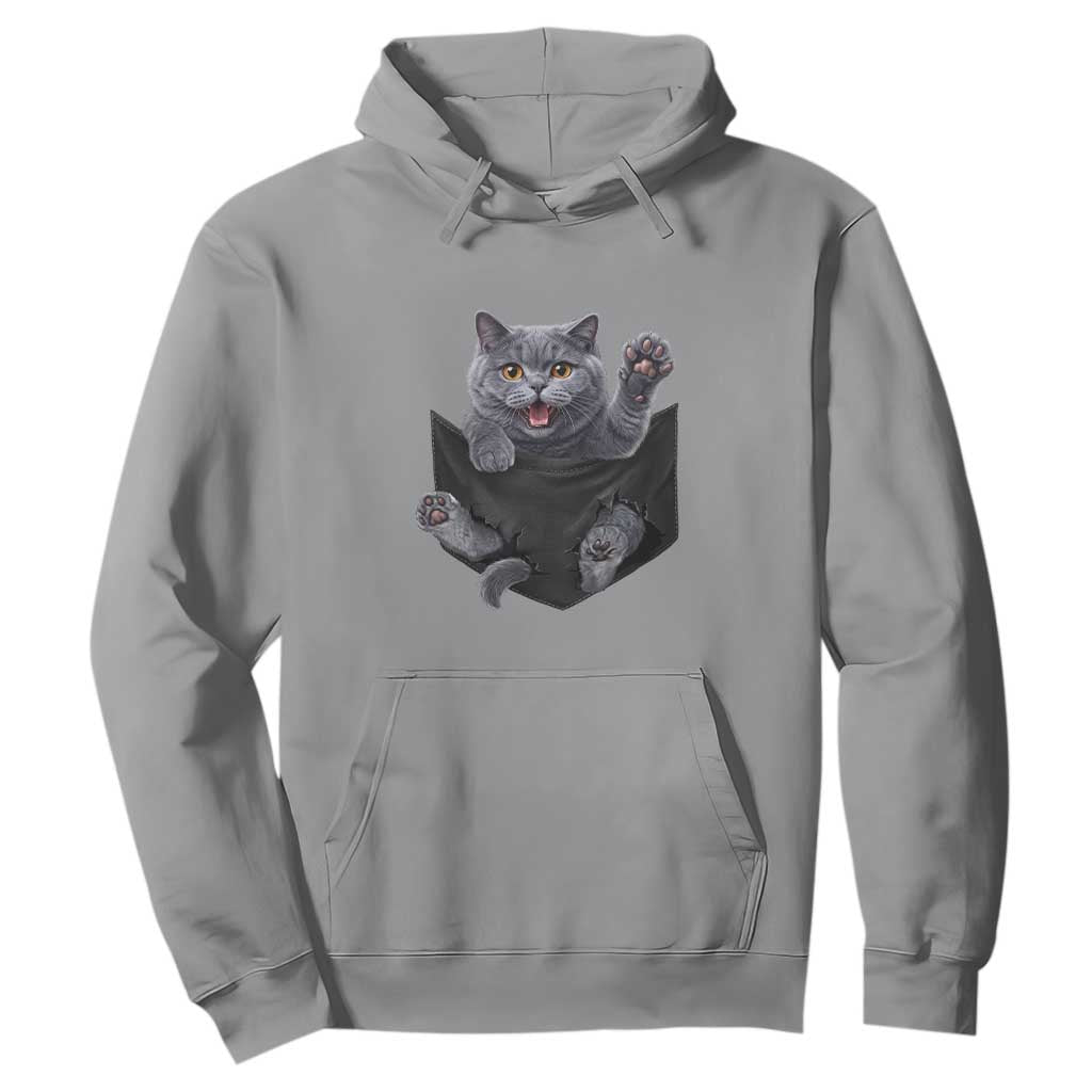 Cute British Shorthair Cat In Pocket Hoodie Cat Lover TS12 Sport Gray Print Your Wear