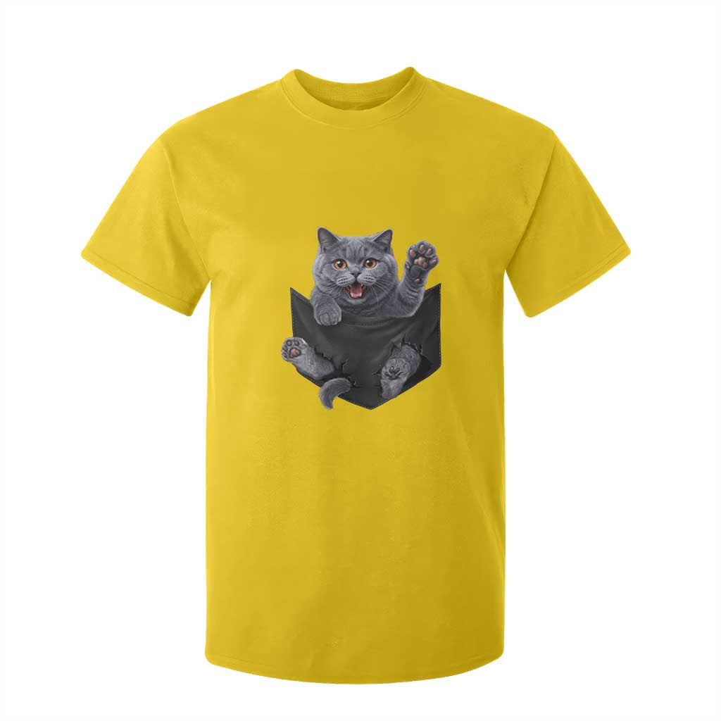 Cute British Shorthair Cat In Pocket T Shirt For Kid Cat Lover TS12 Daisy Print Your Wear