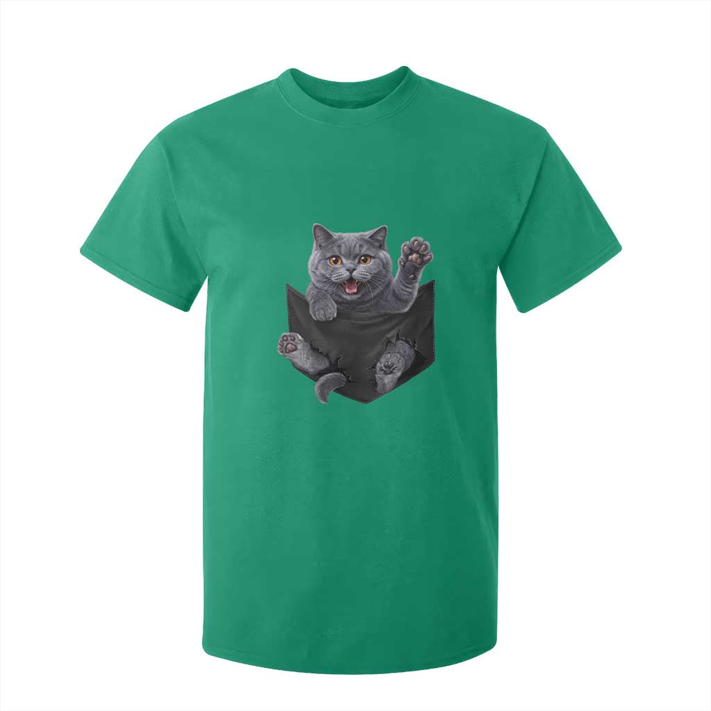 Cute British Shorthair Cat In Pocket T Shirt For Kid Cat Lover TS12 Irish Green Print Your Wear