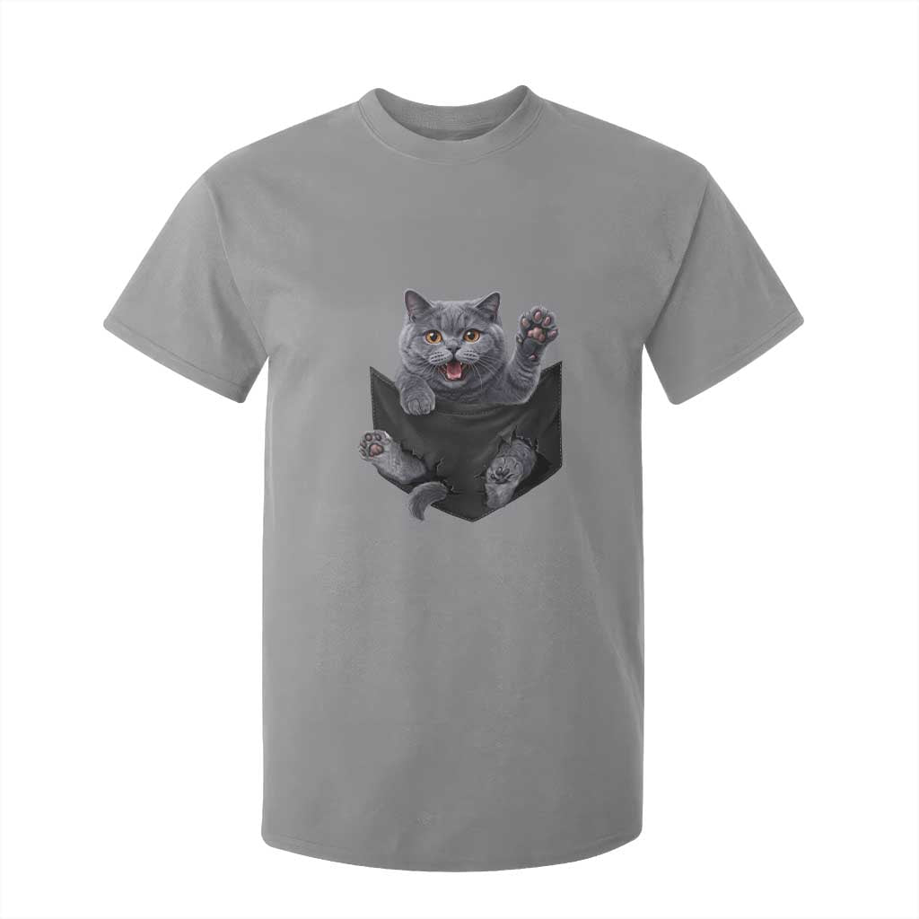 Cute British Shorthair Cat In Pocket T Shirt For Kid Cat Lover TS12 Sport Gray Print Your Wear