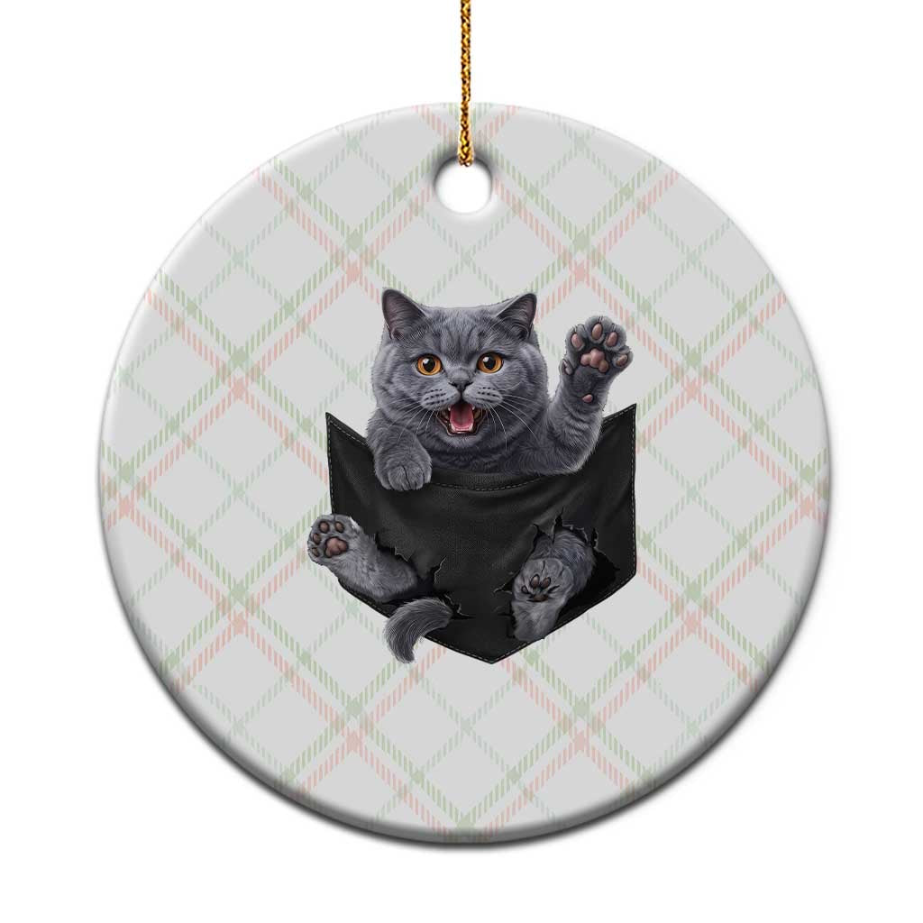 Cute British Shorthair Cat In Pocket Ceramic Ornament Cat Lover TS12 1pc Christmas Plaid Print Your Wear