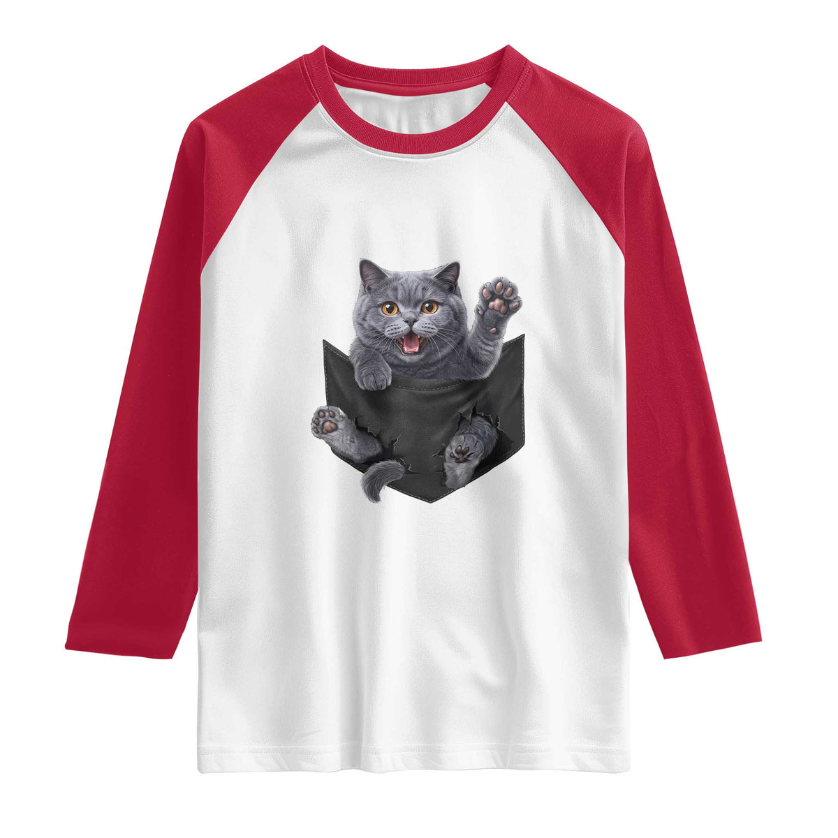 Cute British Shorthair Cat In Pocket Raglan Shirt Cat Lover TS12 White Red Print Your Wear