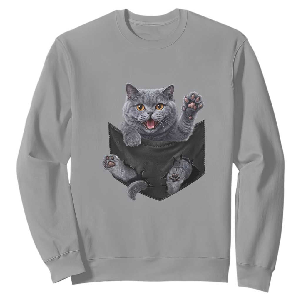 Cute British Shorthair Cat In Pocket Sweatshirt Cat Lover TS12 Sport Gray Print Your Wear