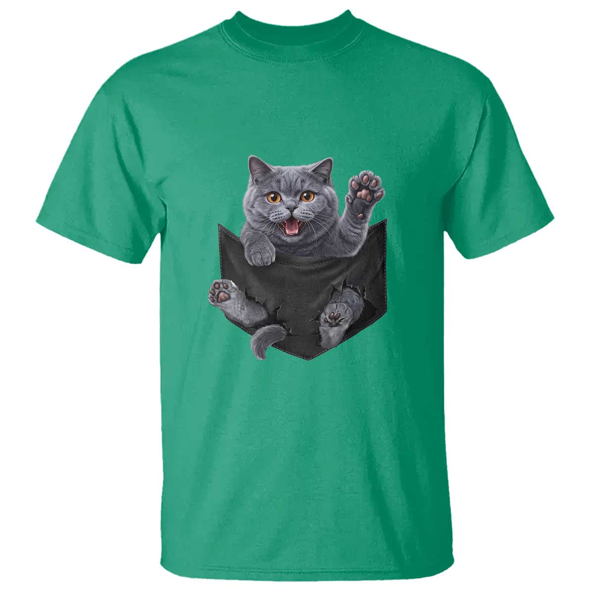 Cute British Shorthair Cat In Pocket T Shirt Cat Lover TS12 Irish Green Print Your Wear
