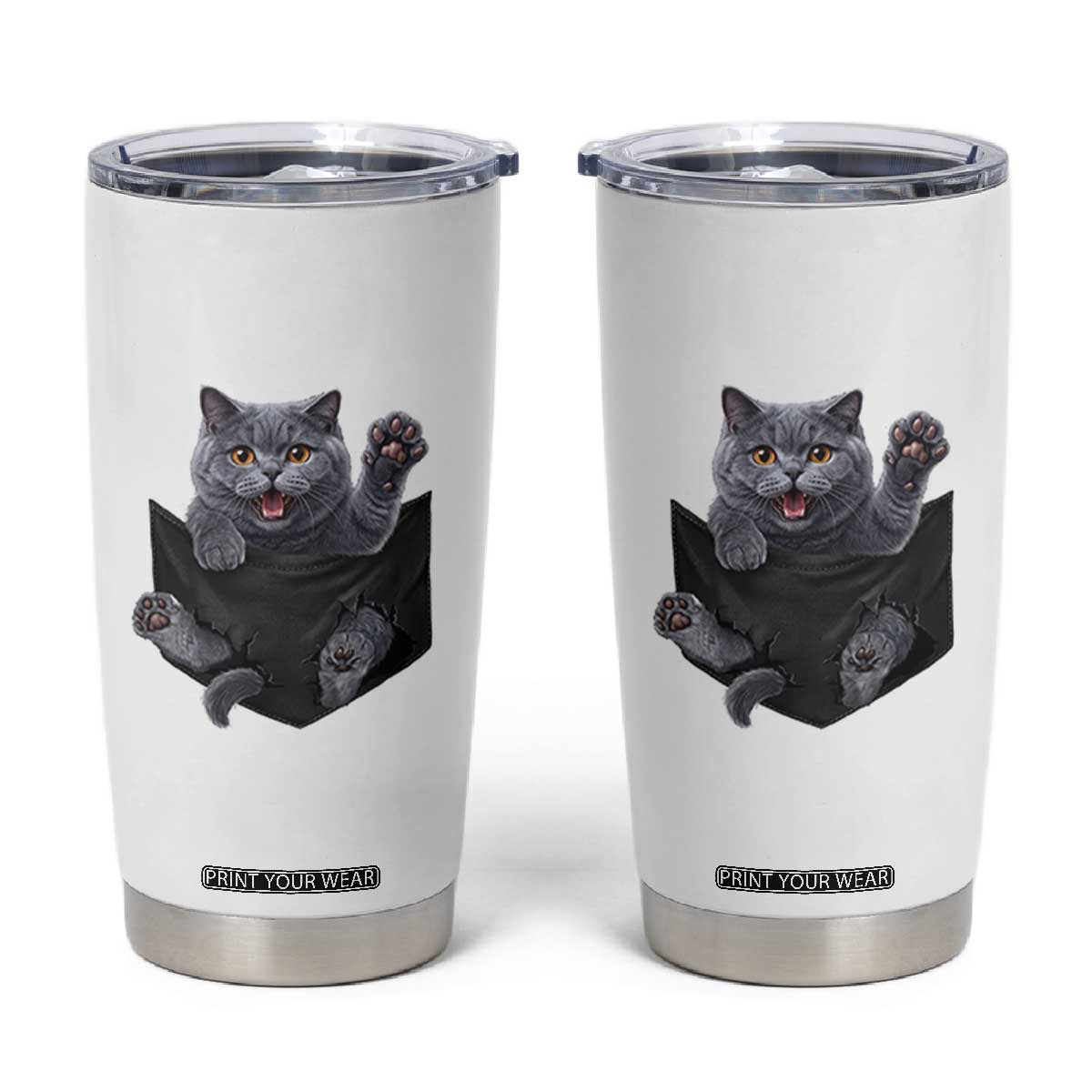 Cute British Shorthair Cat In Pocket Tumbler Cup Cat Lover TS12 White Print Your Wear
