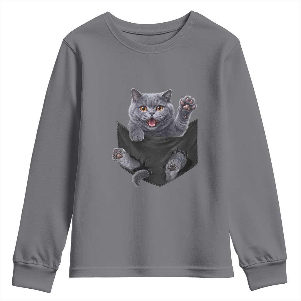 Cute British Shorthair Cat In Pocket Youth Sweatshirt Cat Lover TS12 Charcoal Print Your Wear