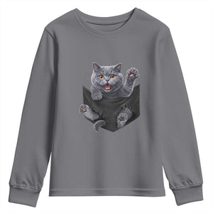 Cute British Shorthair Cat In Pocket Youth Sweatshirt Cat Lover TS12 Charcoal Print Your Wear