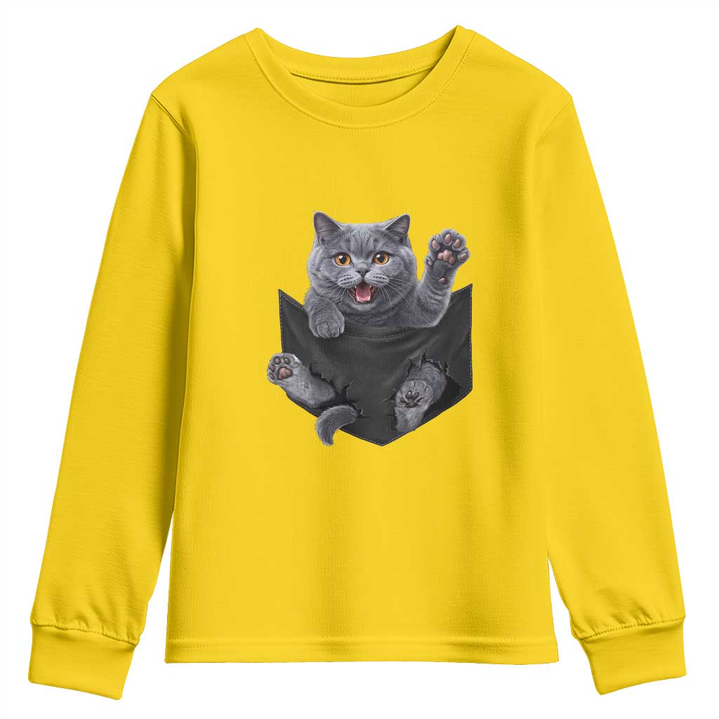 Cute British Shorthair Cat In Pocket Youth Sweatshirt Cat Lover TS12 Daisy Print Your Wear