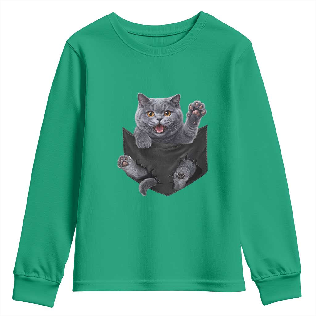 Cute British Shorthair Cat In Pocket Youth Sweatshirt Cat Lover TS12 Irish Green Print Your Wear